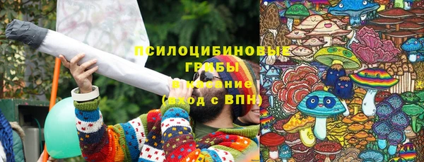 гашик Абаза