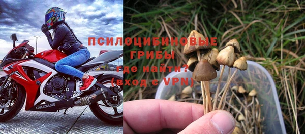 экстази Алексин