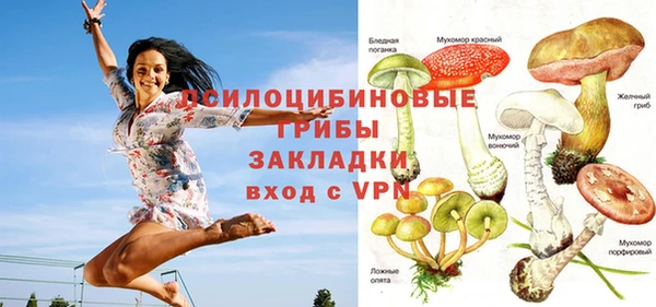 экстази Алексин